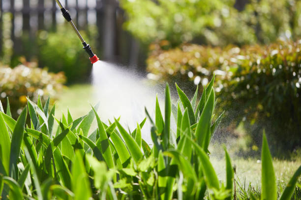 24/7 Emergency Mosquito Control experts in Pomona, KS