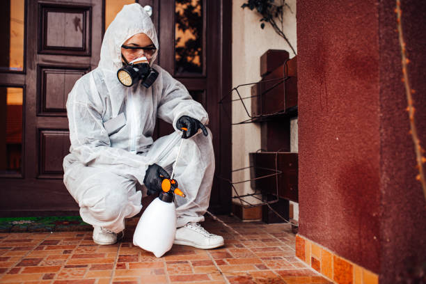 Reliable Mosquito Control contractor in Pomona, KS by Show Me Pest Control